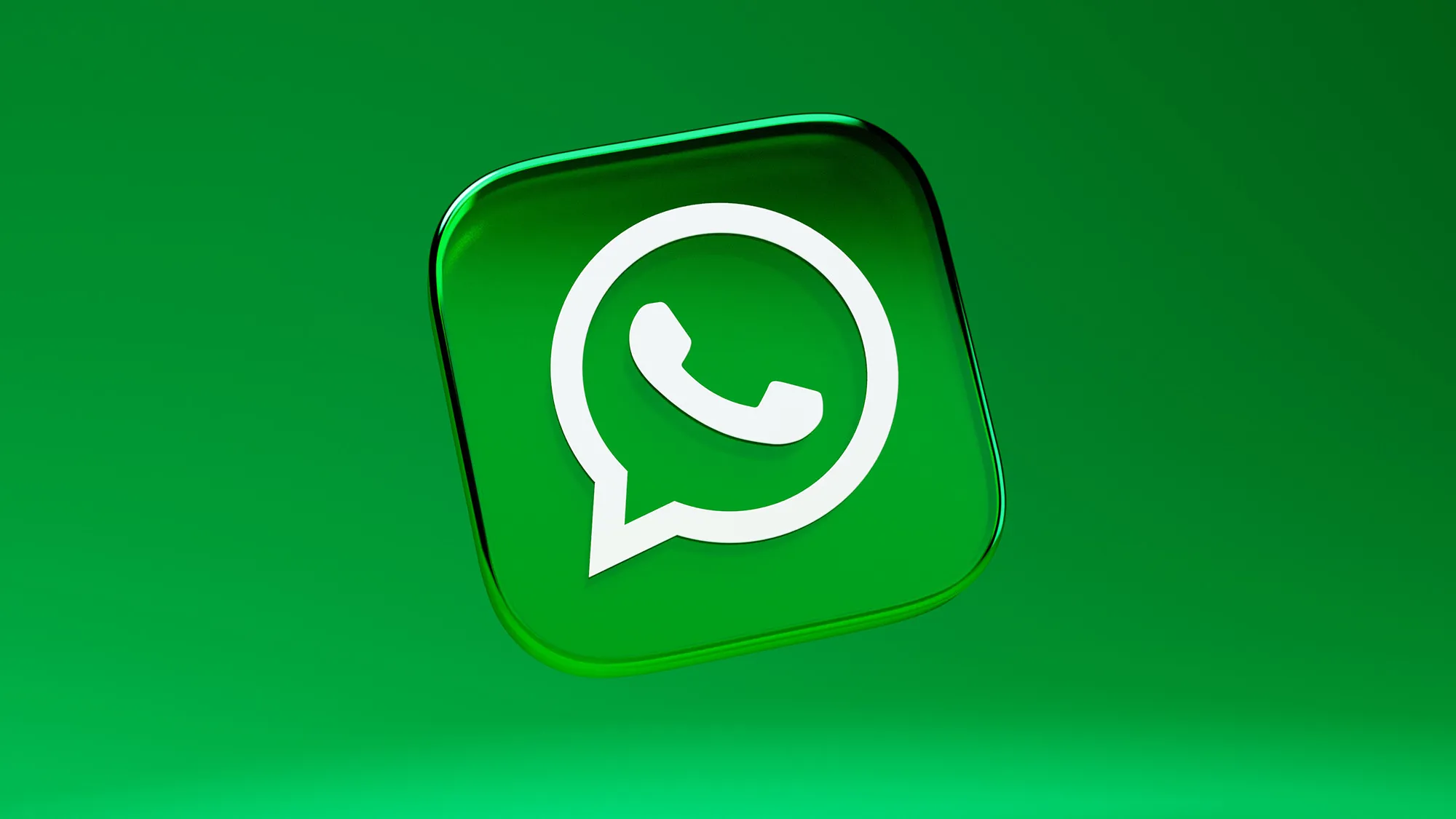 WhatsApp screening software
