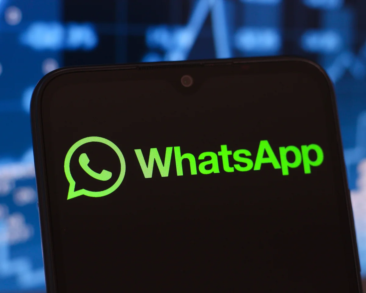 Detect WhatsApp user activity to optimize your social marketing